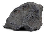 1,837.47g Campo Del Cielo Iron Meteorite