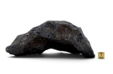 1,837.47g Campo Del Cielo Iron Meteorite