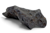 1,837.47g Campo Del Cielo Iron Meteorite