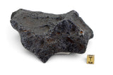 1,837.47g Campo Del Cielo Iron Meteorite