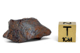 10.34g CANYON DIABLO meteorite - IAB Iron Meteorite