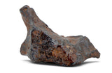 10.34g CANYON DIABLO meteorite - IAB Iron Meteorite