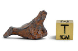 10.34g CANYON DIABLO meteorite - IAB Iron Meteorite