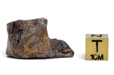 15.06g CANYON DIABLO meteorite - IAB Iron Meteorite