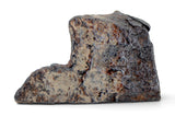 15.06g CANYON DIABLO meteorite - IAB Iron Meteorite