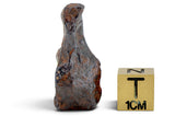 15.09g CANYON DIABLO meteorite - IAB Iron Meteorite