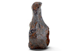 15.09g CANYON DIABLO meteorite - IAB Iron Meteorite