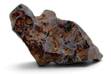 16.49g CANYON DIABLO meteorite - IAB Iron Meteorite
