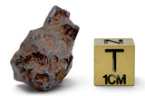 16.49g CANYON DIABLO meteorite - IAB Iron Meteorite