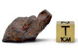 16.49g CANYON DIABLO meteorite - IAB Iron Meteorite