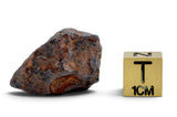 20.23g CANYON DIABLO meteorite - IAB Iron Meteorite