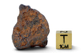21.88g CANYON DIABLO meteorite - IAB Iron Meteorite