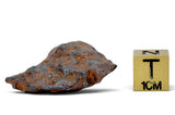21.88g CANYON DIABLO meteorite - IAB Iron Meteorite