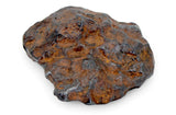 21.88g CANYON DIABLO meteorite - IAB Iron Meteorite