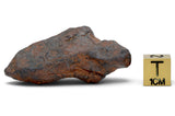 22.61g CANYON DIABLO meteorite - IAB Iron Meteorite