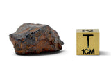 23.49g CANYON DIABLO meteorite - IAB Iron Meteorite