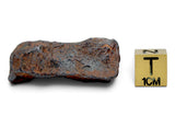 24.21g CANYON DIABLO meteorite - IAB Iron Meteorite