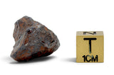 24.21g CANYON DIABLO meteorite - IAB Iron Meteorite