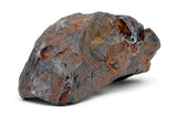 24.21g CANYON DIABLO meteorite - IAB Iron Meteorite