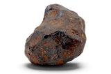 25.85g CANYON DIABLO meteorite - IAB Iron Meteorite