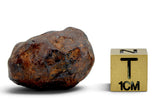25.85g CANYON DIABLO meteorite - IAB Iron Meteorite
