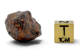 25.85g CANYON DIABLO meteorite - IAB Iron Meteorite