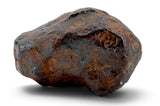 25.85g CANYON DIABLO meteorite - IAB Iron Meteorite