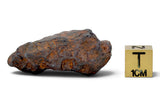 40.98g CANYON DIABLO meteorite - IAB Iron Meteorite