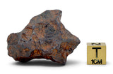 40.98g CANYON DIABLO meteorite - IAB Iron Meteorite