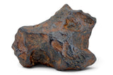 40.98g CANYON DIABLO meteorite - IAB Iron Meteorite