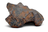 40.98g CANYON DIABLO meteorite - IAB Iron Meteorite