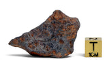 50.30g CANYON DIABLO meteorite - IAB Iron Meteorite