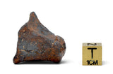 50.30g CANYON DIABLO meteorite - IAB Iron Meteorite