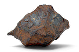 50.30g CANYON DIABLO meteorite - IAB Iron Meteorite