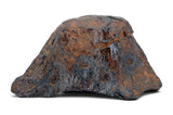 50.30g CANYON DIABLO meteorite - IAB Iron Meteorite