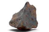 50.30g CANYON DIABLO meteorite - IAB Iron Meteorite