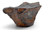 50.30g CANYON DIABLO meteorite - IAB Iron Meteorite