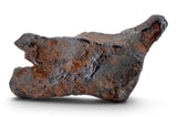 8.23g CANYON DIABLO meteorite - IAB Iron Meteorite