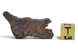8.23g CANYON DIABLO meteorite - IAB Iron Meteorite