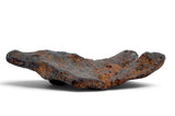 8.23g CANYON DIABLO meteorite - IAB Iron Meteorite