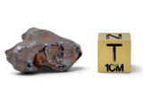 10.21g AGOUDAL Meteorite I IIAB Iron Meteorite