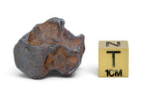 10.21g AGOUDAL Meteorite I IIAB Iron Meteorite