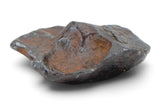 10.21g AGOUDAL Meteorite I IIAB Iron Meteorite