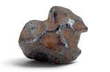 10.21g AGOUDAL Meteorite I IIAB Iron Meteorite