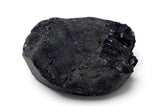 1.19g AGUAS ZARCAS Meteorite I Carbonaceous Chondrite CM2