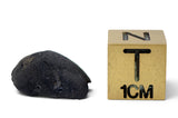 1.19g AGUAS ZARCAS Meteorite I Carbonaceous Chondrite CM2