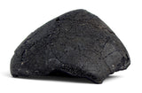 1.19g AGUAS ZARCAS Meteorite I Carbonaceous Chondrite CM2