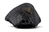 1.19g AGUAS ZARCAS Meteorite I Carbonaceous Chondrite CM2