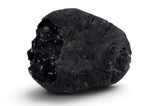 1.19g AGUAS ZARCAS Meteorite I Carbonaceous Chondrite CM2