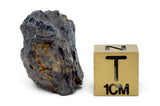 8.37g GRIZIM 003 Pallasite Meteorite